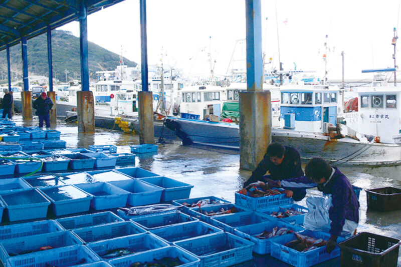 Irago fish market