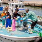 Irago fish market