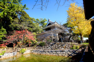 Tahara Castle Ruins